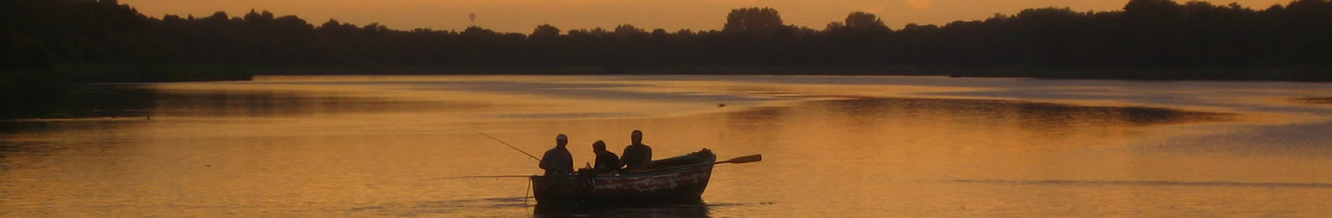 Northern Broads Bream and its Ecosystem