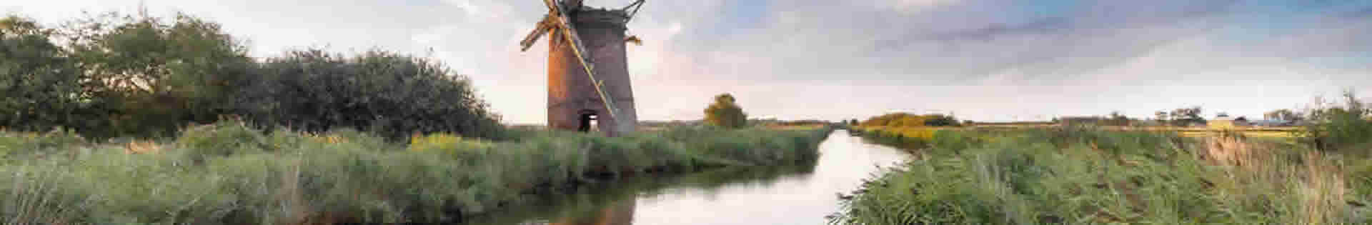 Northern Broads Bream and its Ecosystem