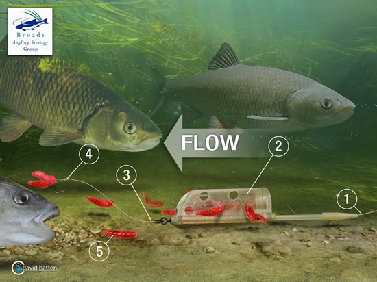 river-chub-feeder-rig